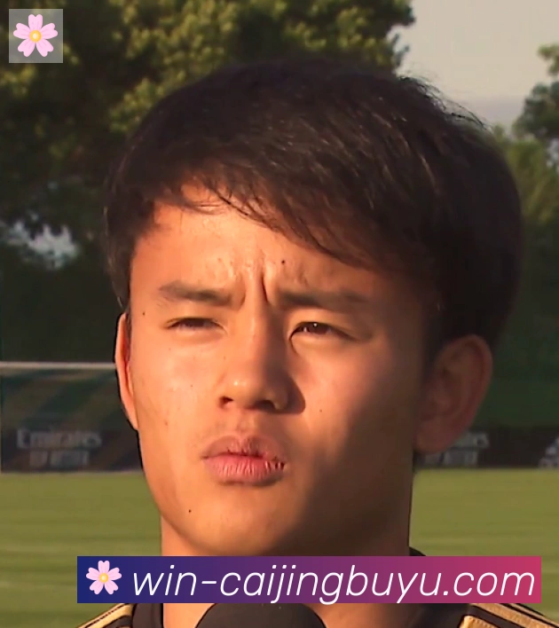 孙兴慜